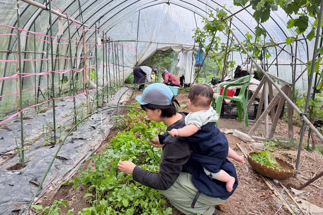 丹精を込めて作られた野菜の収穫