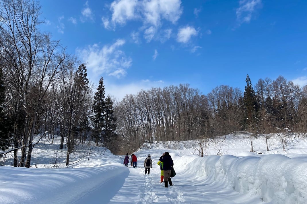 かんじきで雪の森へ