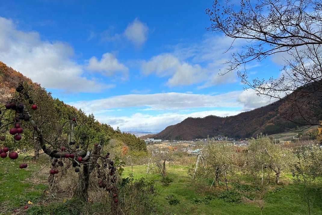 りんご畑から眺める山の稜線