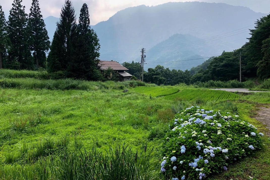 郷の風景（夏）