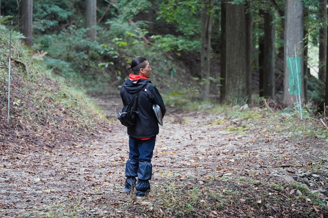 森の中の宙を眺める