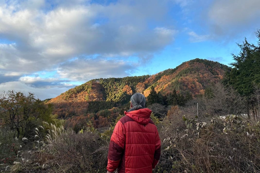 林檎畑から白い北アルプスを遠くに眺める
