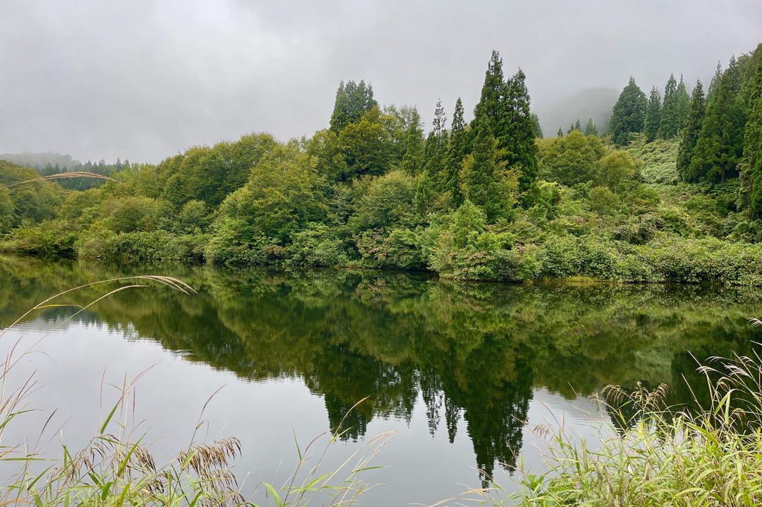 鏡のように森を映す湖面