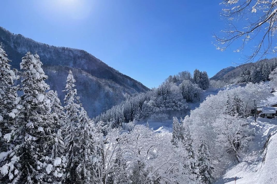 冬の始まりの頃の雪景色