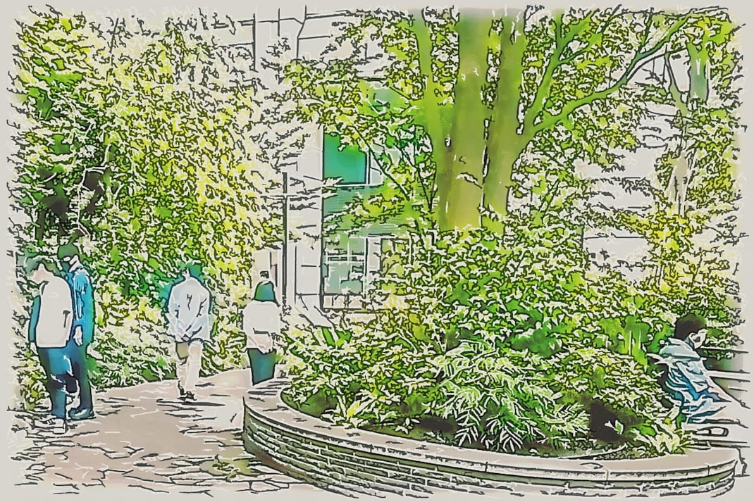 緑あふれるスペースを歩く参加者 ― 日常を離れて自然との触れ合いを感じる時間