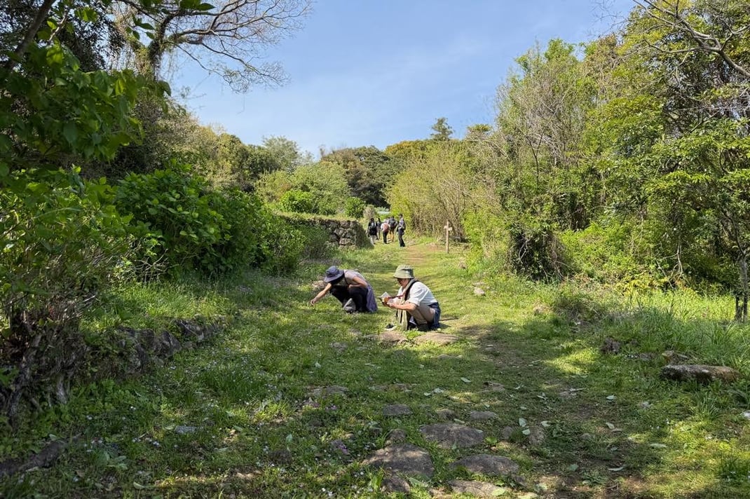 道草（動的な想い想い）