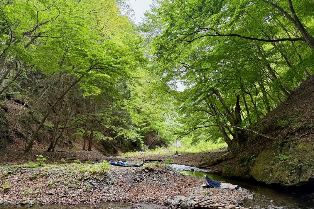 五感・デコボコ・想い想いの森の時間