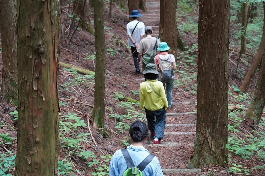 ゆっくりと森を歩く