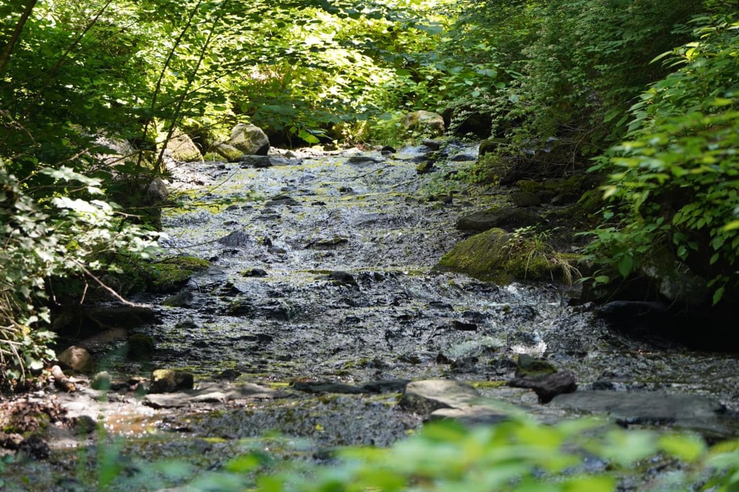 小さな沢の流れ