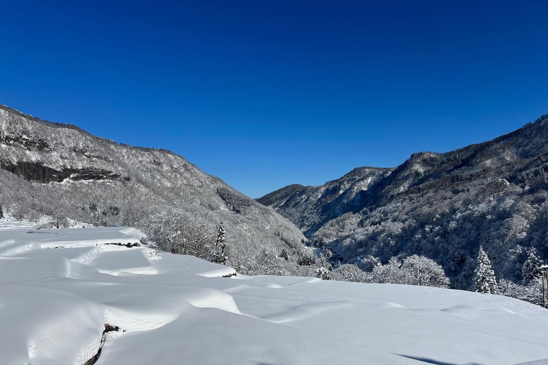開かれた田んぼからの雪景色と澄んだ空