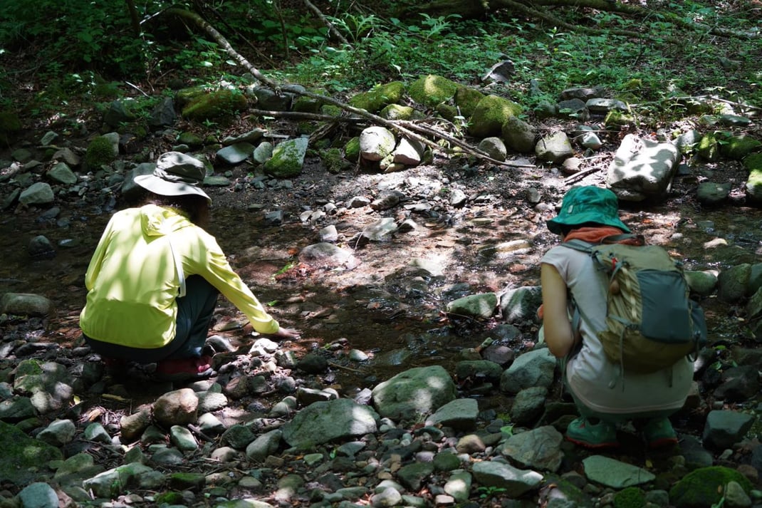 水に手を浸す(沢のほとり)