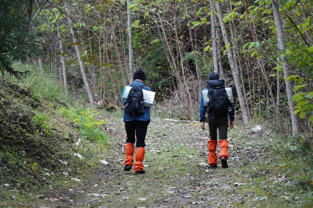 ゆっくりと森を歩く