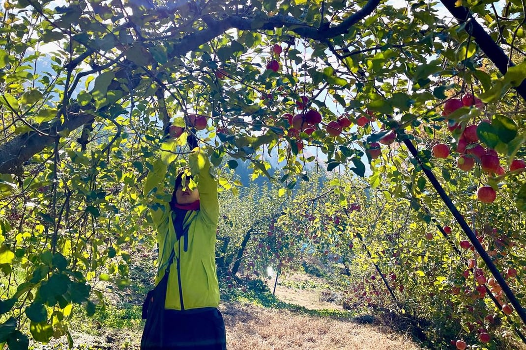 林檎農園での「一人時間」＠北信濃 清水農園（長野）