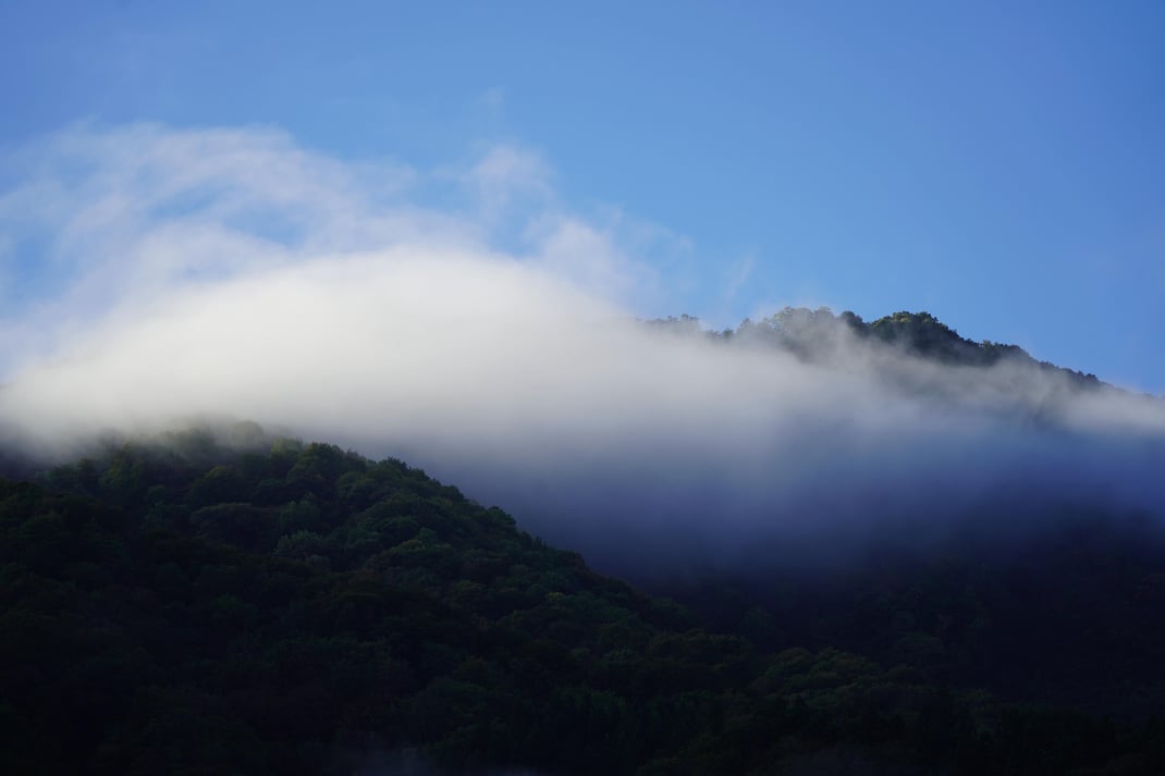 森から湧き上がる雲