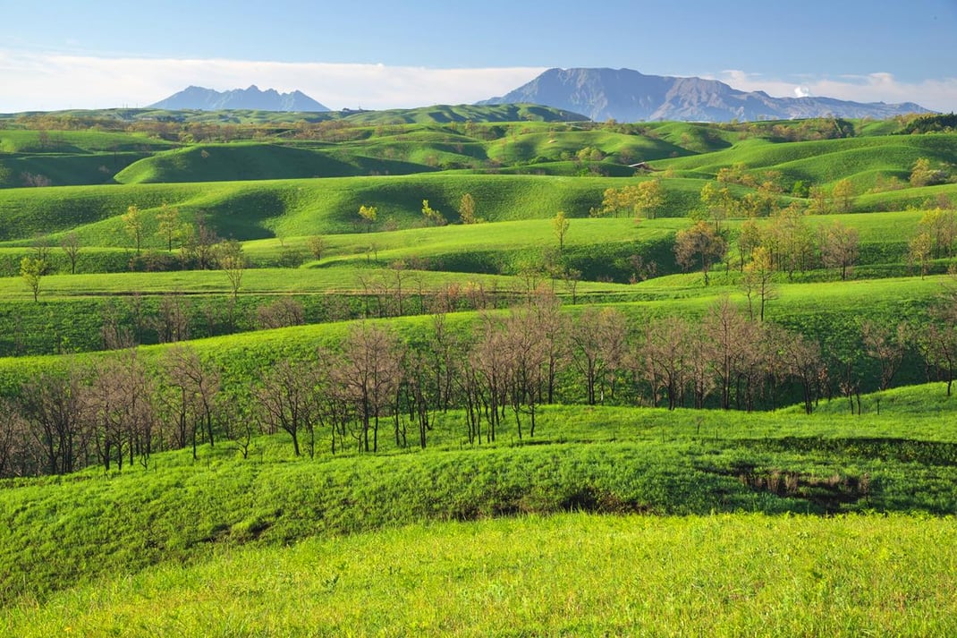 眼下に広がる広大な緑の草原。自然を感じ、五感を働かせて、気づきとつながりを育む「よる森 Nomadic」