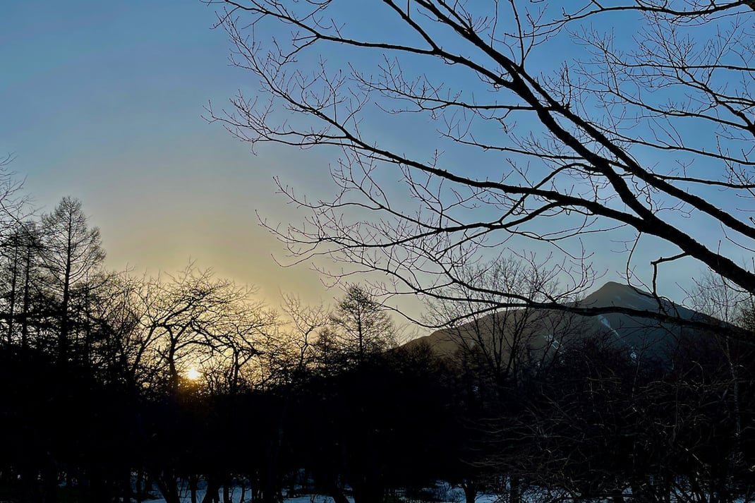 雪のよる森で訪れた森の朝。夜から朝へ移り変わる”あいまいな時間”の景色。