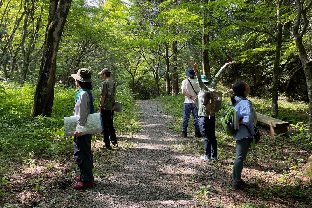 深い呼吸(森の入り口で)