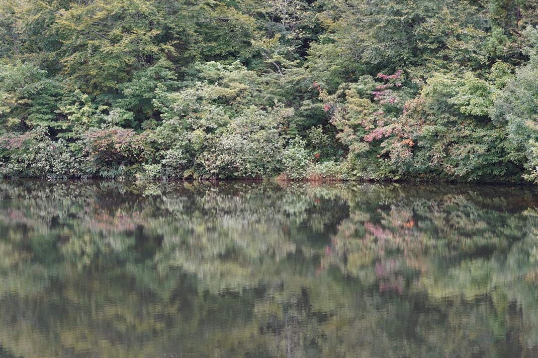 鏡のような静かな湖