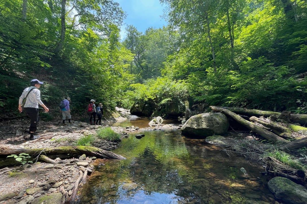 水源の森を歩きながら自然を感じる@南会津（福島）