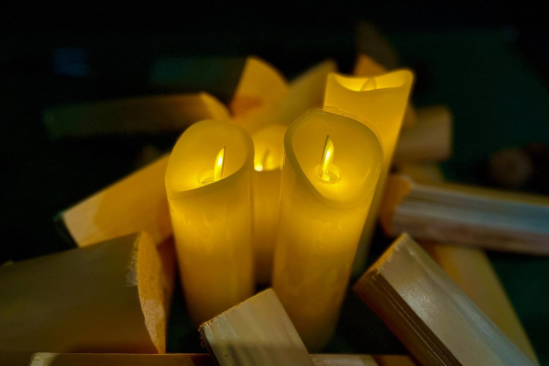 PALETTEの森で揺れる灯