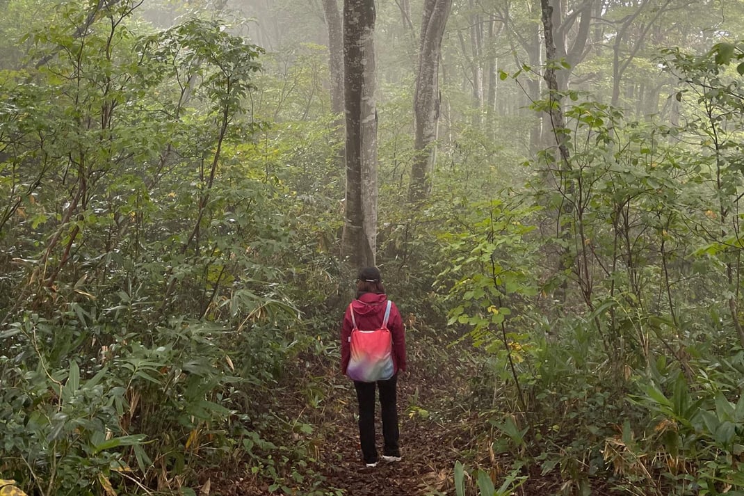 森の中での一人の時間