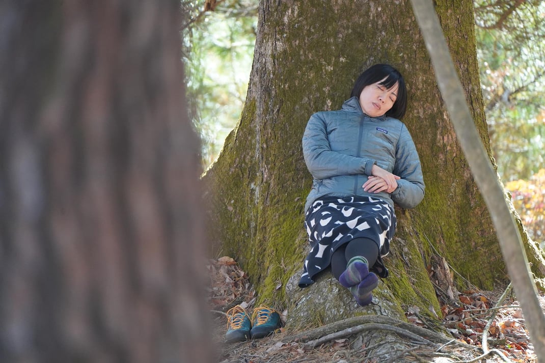 森の中の居場所