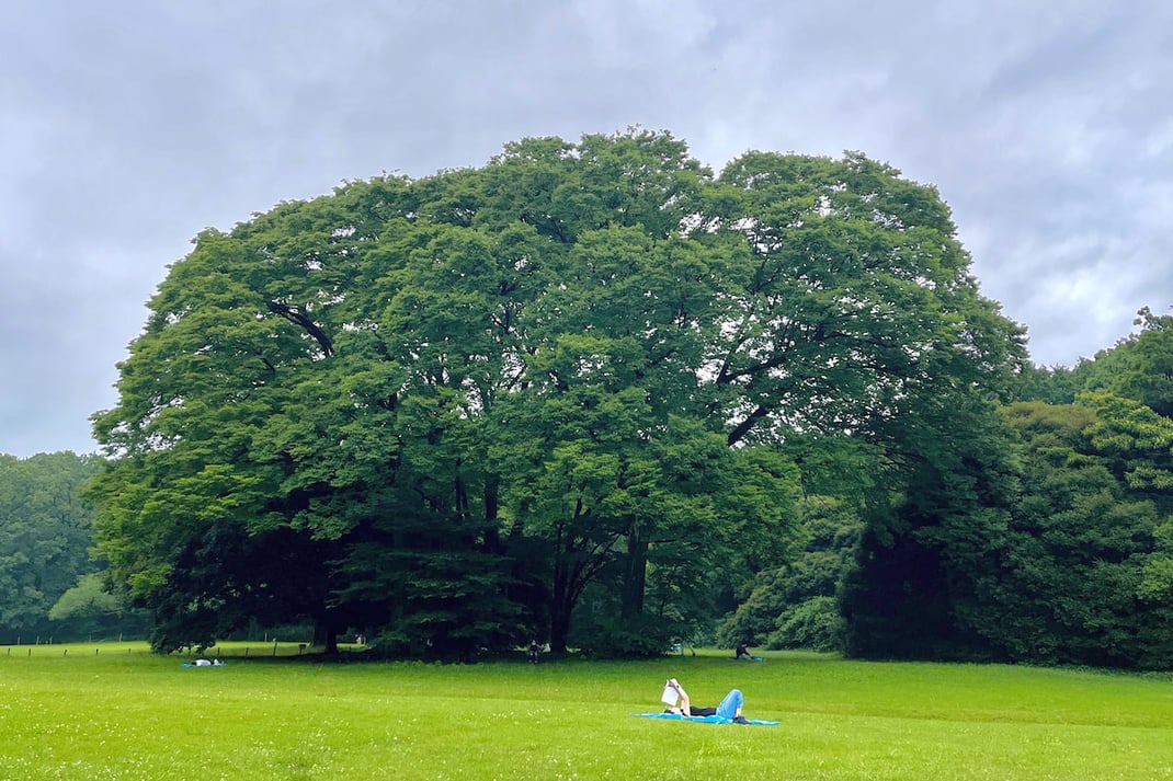 芝生に寝転び、静かに自分と対話するソロ・リフレクション