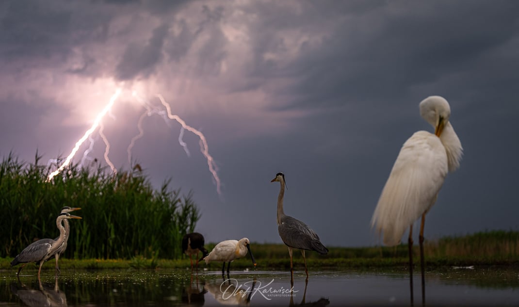 Glücksmomente beim Gewitter