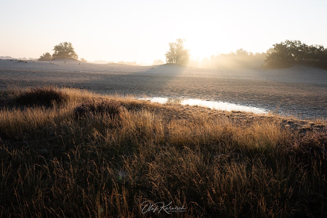 Sonnenaufgang in den Dünen