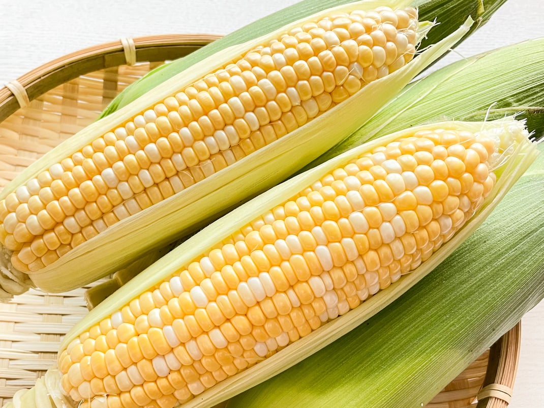 8月に食べたいとうもろこし｜むくみと疲れを取り除く夏の薬膳の知恵と簡単レシピ