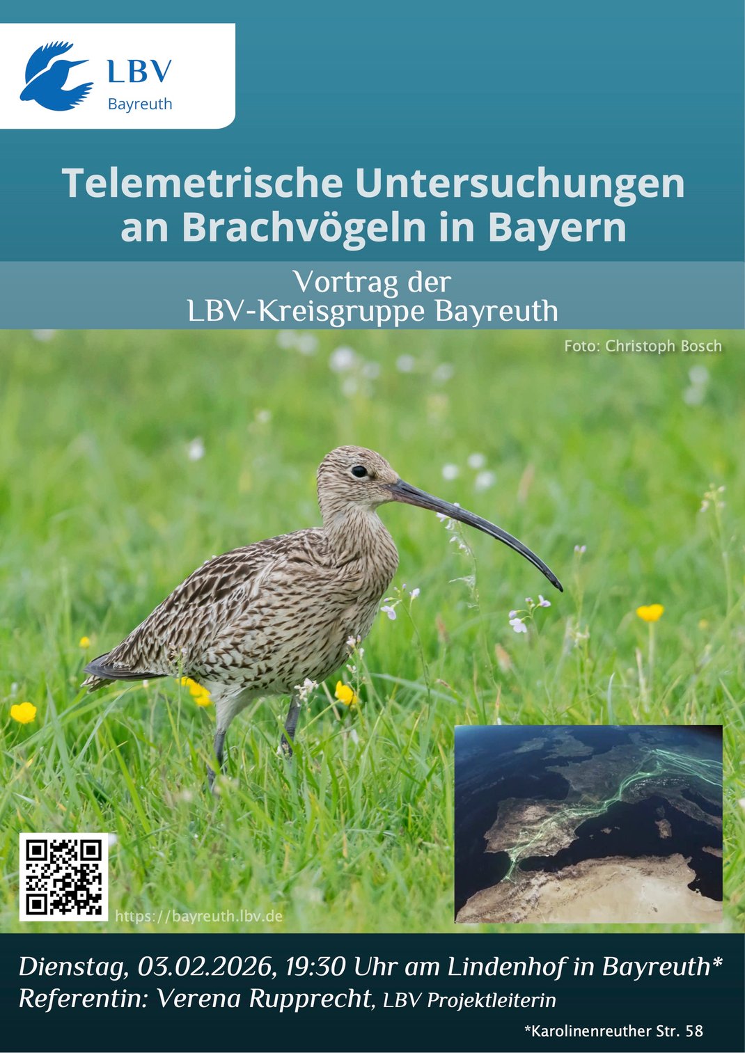 Das Ankündigungsplakat für den LBV Monatsvortrags am 13. Januar über die Flora von Bayreuth zeigt die violette Blüte eines Storchschnabels