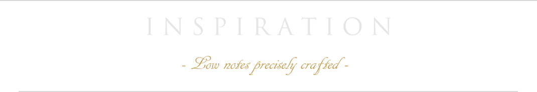 finest handcrafted boutique bassguitars from germany - feel this great sound - Ulrich Bass