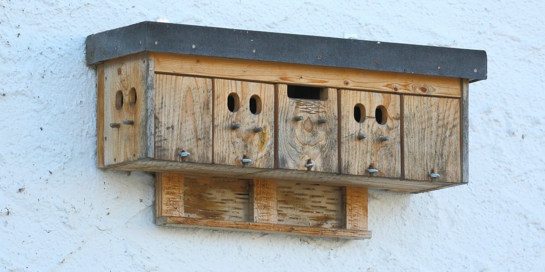 "Reihenhaus"-Ausführung mit Spaltenquartier für Fledermäuse für die Montage an einer Garagenwand