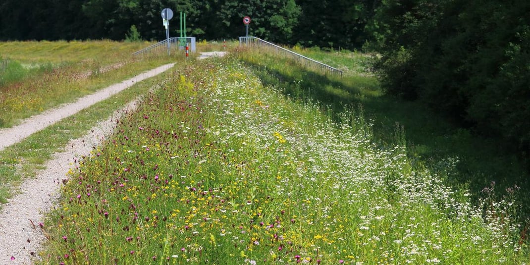 Isardamm bei Moosburg