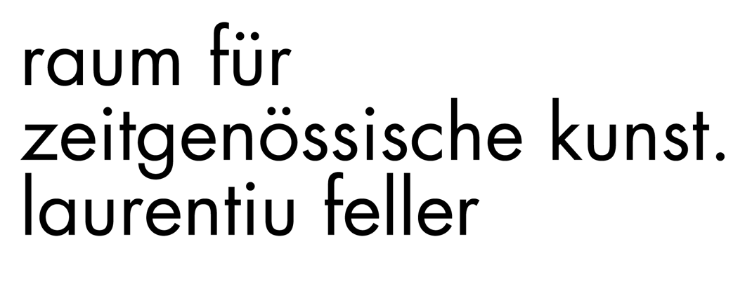 Kunstgalerie rfzk Nürnberg - raum für zeitgenössische kunst . laurentiu feller - Contemporary Art Gallery in Nuremberg