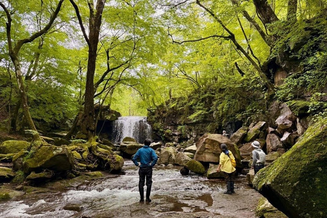 渓谷の滝を前に立ち止まって感じる時間。森での内省と対話のひと時。