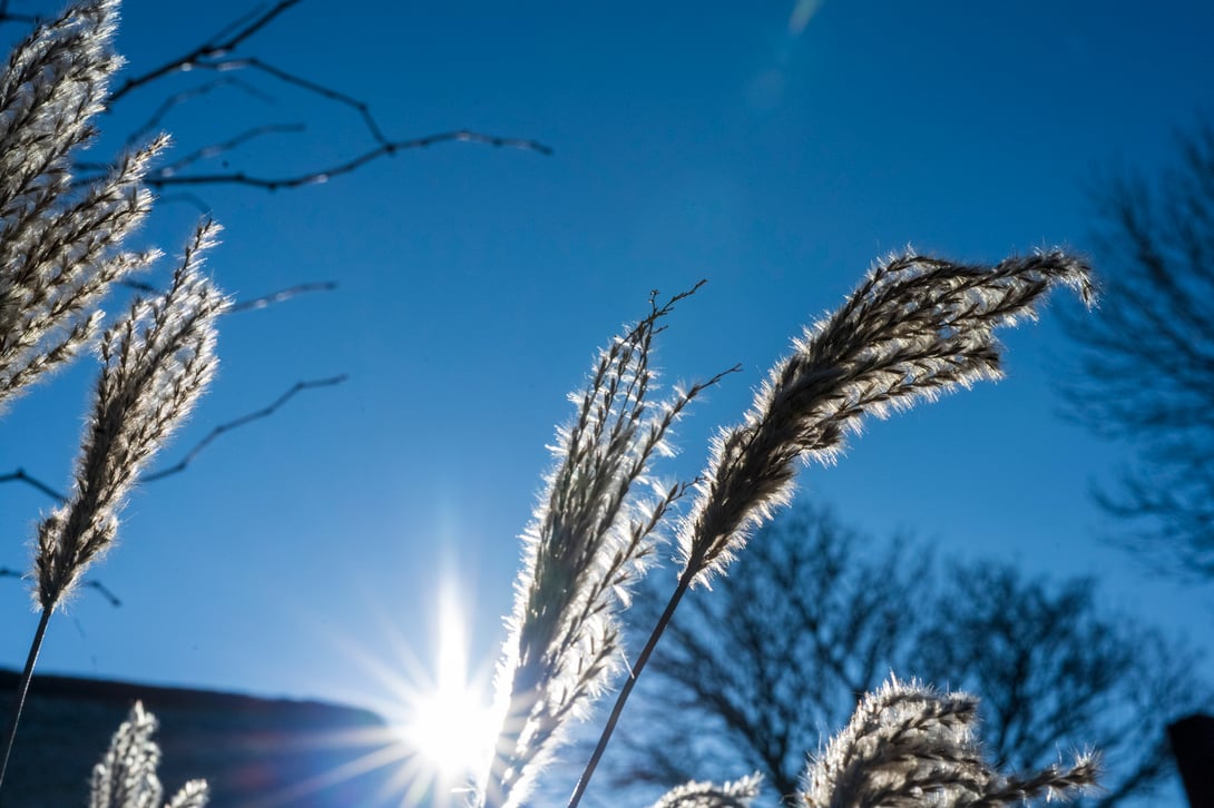Winter am Meer ... fotografiert mit Nikon Z7 und Nikkor Z 50mm F/1.2 S