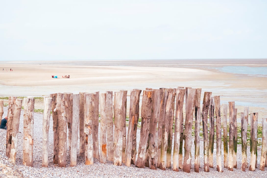 Fotografiert mit Nikon Z8 und Nikkor Z 85mm F/1.2 S