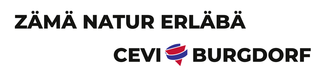 CEVI Jungschar Burgdorf