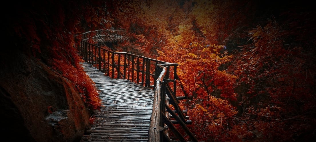 schnoedi24s Webseite!