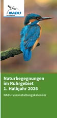 Bild der ersten Seite des Terminflyers. Esist ein Eisvogel auf einem Zweig abgebildet.