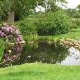 Pond buildergarden ponds