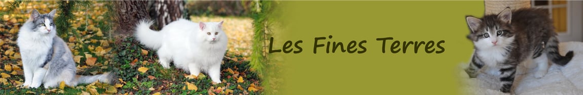 Les Fines Terres