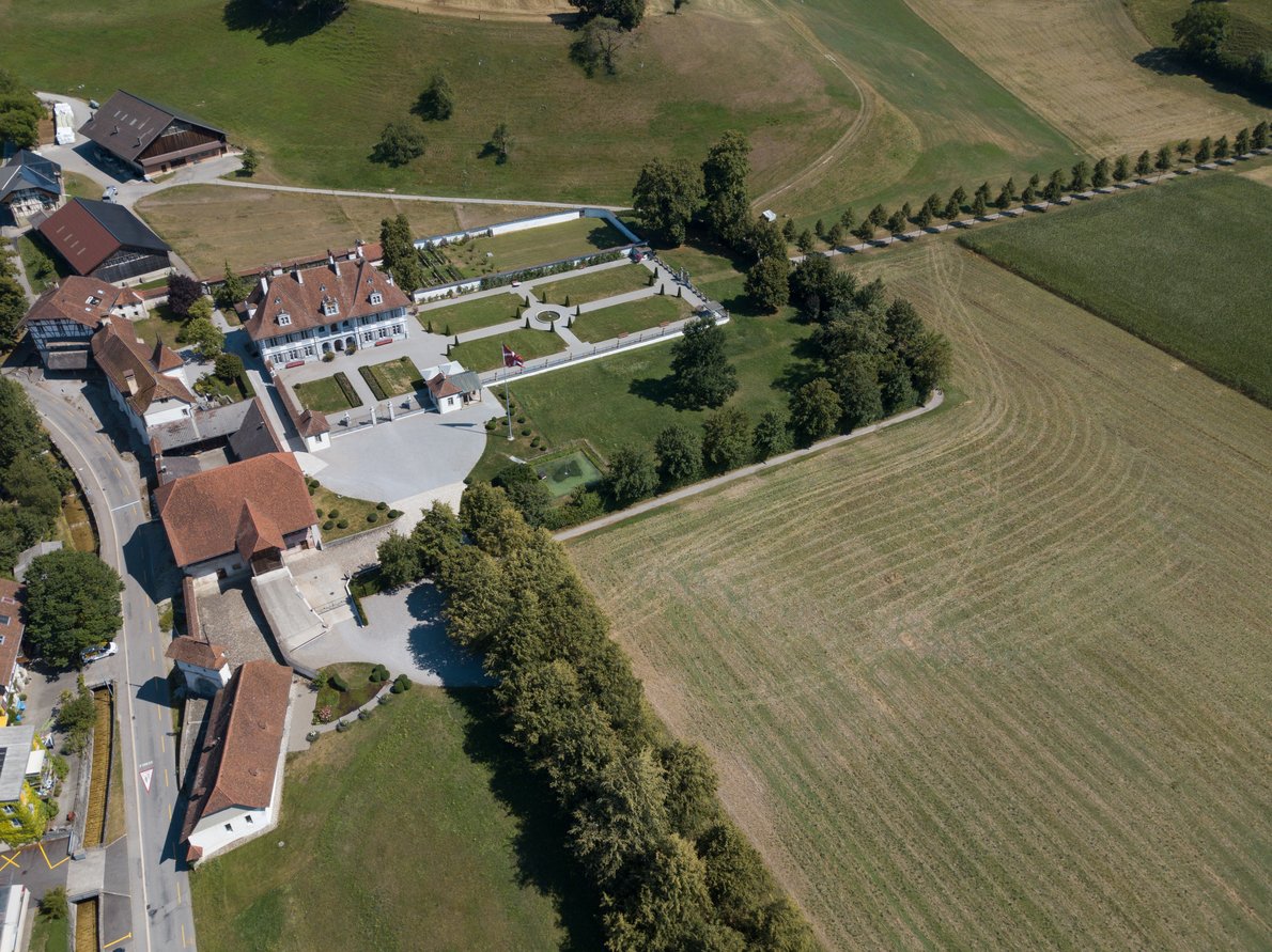 Das bäumige Projekt - Schloss Oberdiessbach 