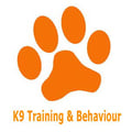 Private Puppy & Dog Training in Epping, Essex | K9 Training and Behaviour