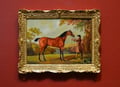 "Tristram Shandy" after George Stubbs (1724-1806)
