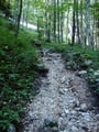 Der Steig steilte noch einmal an. Er war an dieser Stelle sehr steinig.