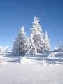 Am Plateau des Höllengebirges angekommen, bot sich mir eine traumhafte Winterlandschaft, strahlender Sonnenschein mit grandioser Fernsicht.