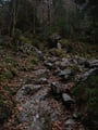 Der Regen und das herbstliche Laub erschwerte meinen Aufstieg ungemein!