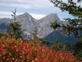 Noch ein kleines Gustostück unter dem Namen „Brennender Herbst“ auf das 2084m hohe Kaiserschild, bevor …